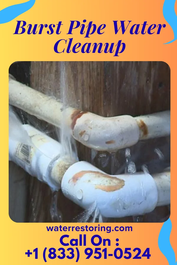 Burst Pipe Water Cleanup in Pingree, ND