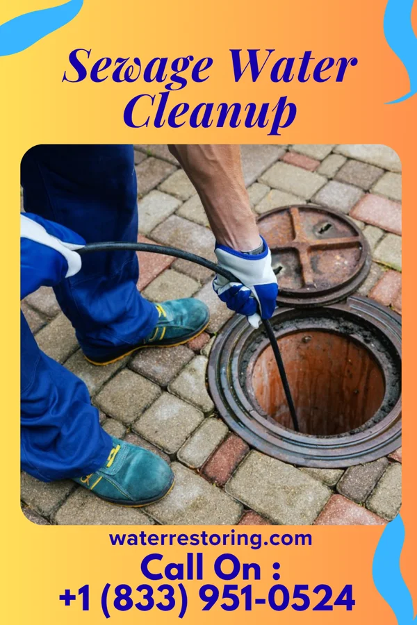Sewage Water Cleanup in Pingree, ND