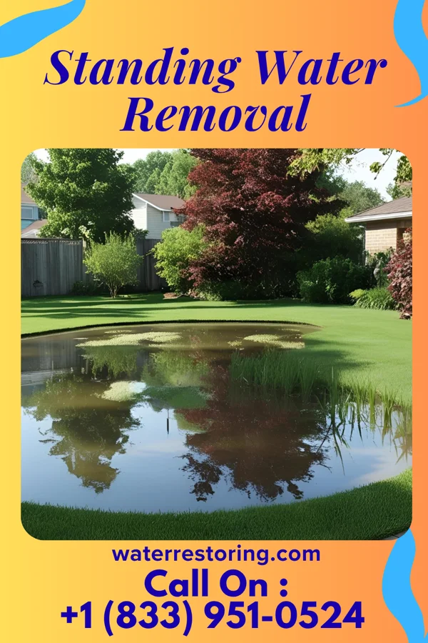 Standing Water Removal in Pingree, ND